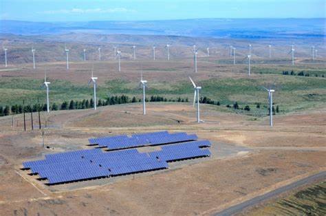 BLOGPOST_EnvironmentalCommittee_01182021.jpg